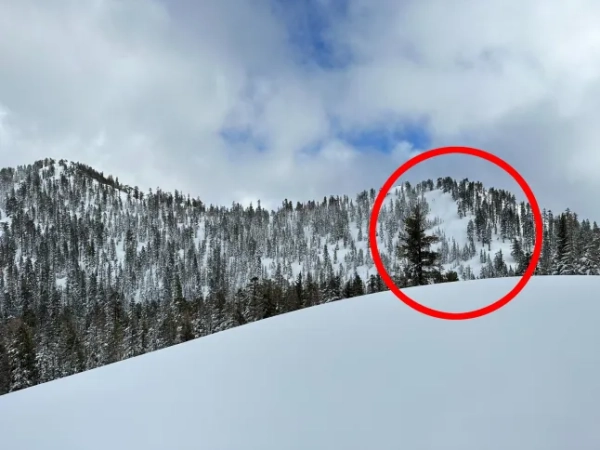 (20.02.2026) Пік Перріс, 8320 футів. Місце сходження лавини у вівторок, 17 лютого 2026 року. Попереднє фото місцевості.