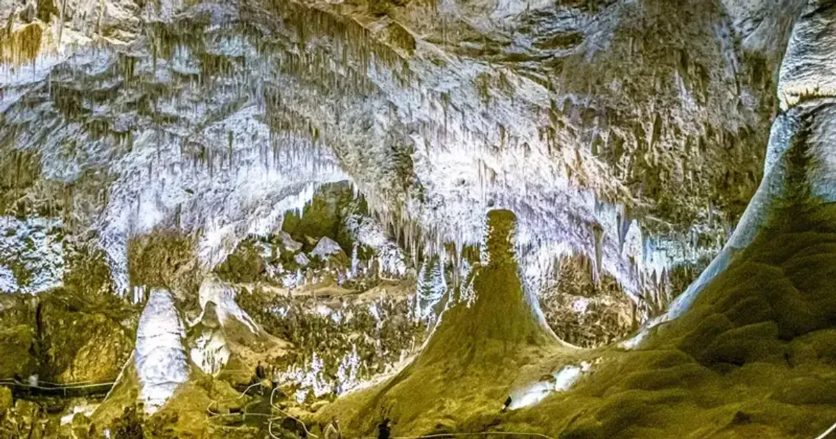 Вчені зробили відкриття про унікальні мікроби за межами туристичного маршруту «Карлсбадських печер»