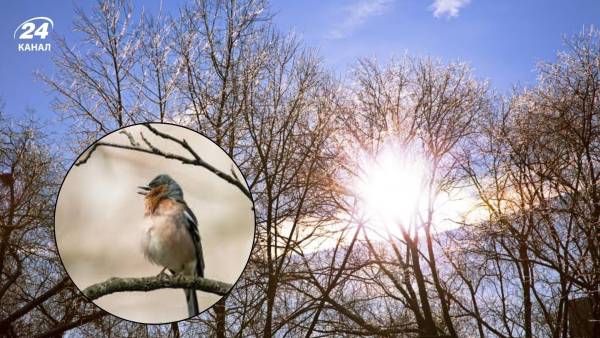 Підвищення до 13 градусів і серпанок: прогноз погоди на 2 березня