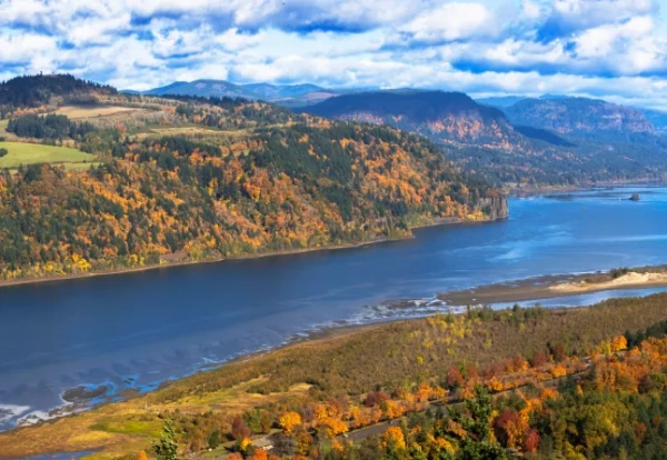 Вид з високого кута на ущелину річки Колумбія у штатах Вашингтон та Орегон восени