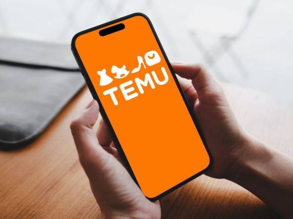 Новый онлайн-магазин бросает вызов Temu в Европе.