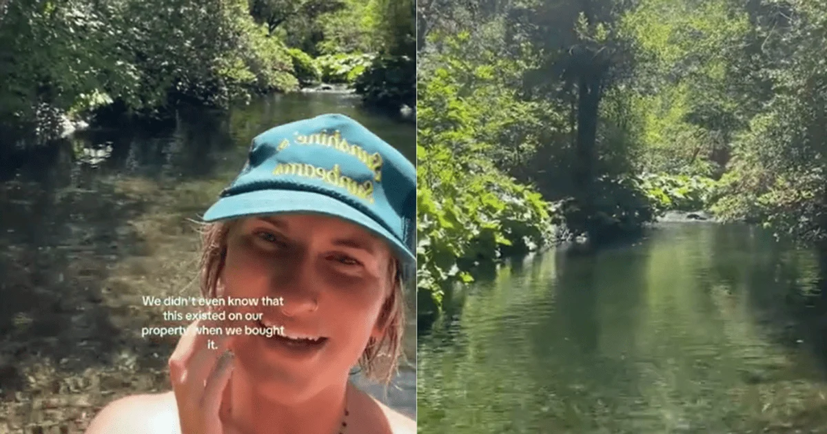 The couple purchased 40 acres of land and made a surprising discovery a year later. Photo: TikTok @andi.creates.magic The couple purchased 40 acres of land and made a surprising discovery a year later. Photo: TikTok @andi.creates.magic