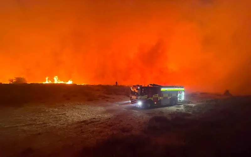 Фото пожежних зі станції Вервуд під час гасіння лісової пожежі, що почалася 9 серпня в Нью-Форест, південна Англія. Фото: Dorset &amp; Wiltshire Fire and Rescue Service / AFP