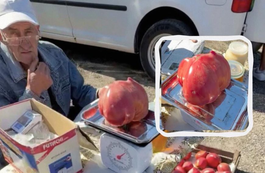 Українець виростив помідор-велетень і встановив на нього рекордну ціну