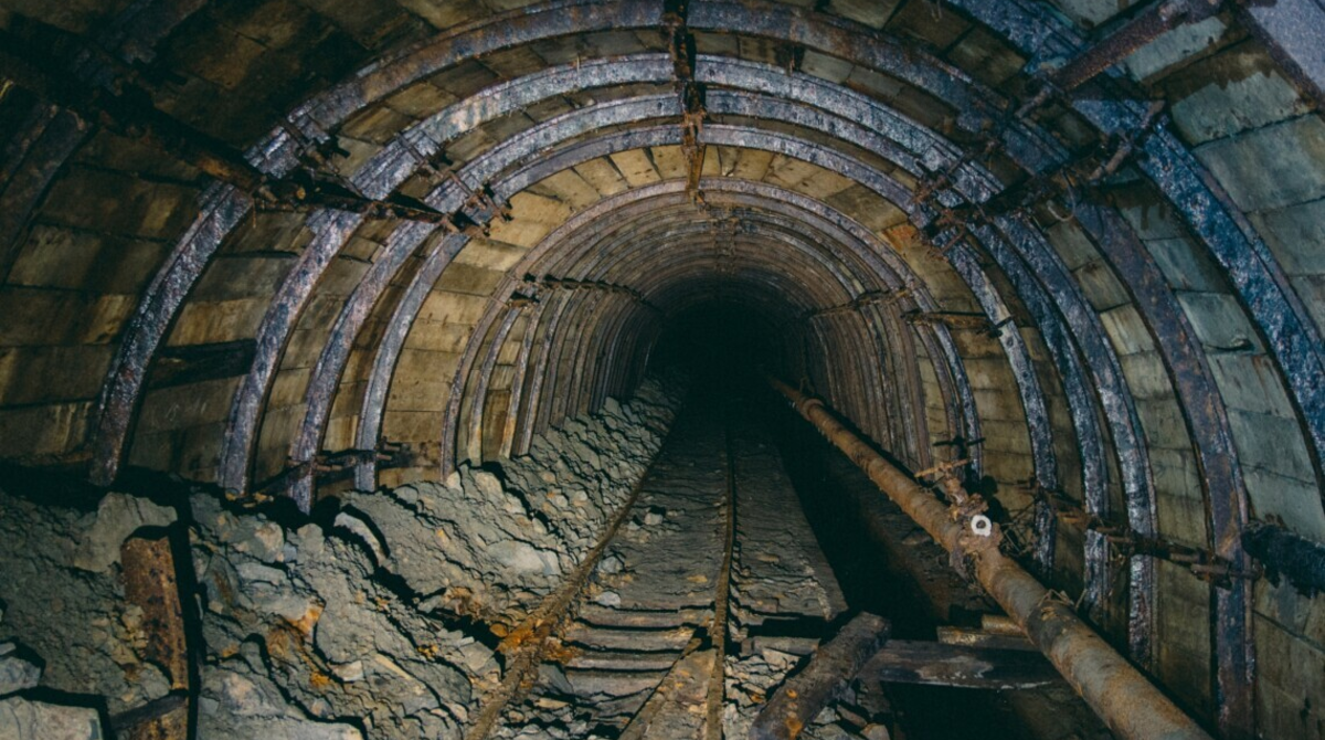 Фото до статті