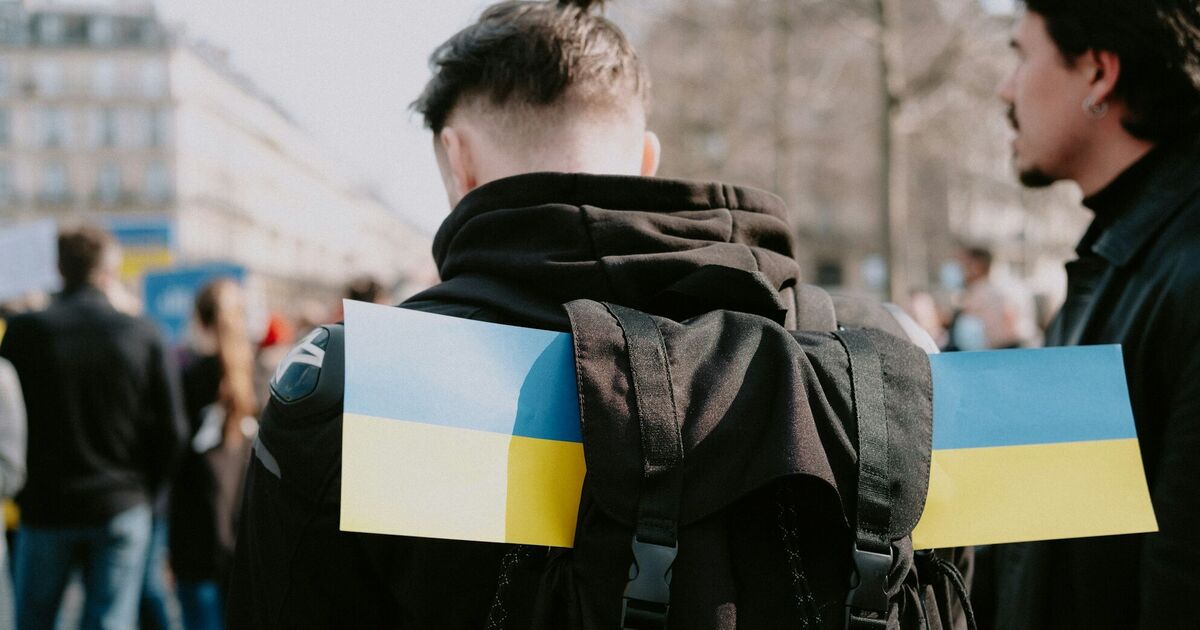 Фото до статті
