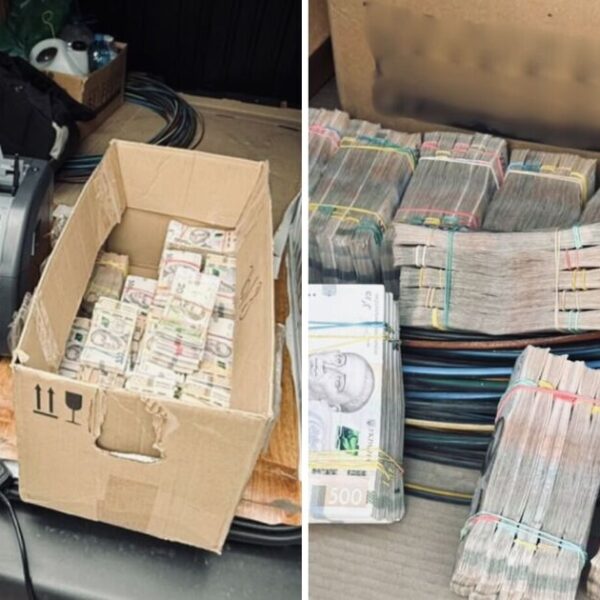 В Україні викрили агроконвертцентр із мільйонами готівки та віртуальних активів