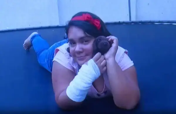 Woman, 38, posed as 12-year-old using teddy and high child’s voice
