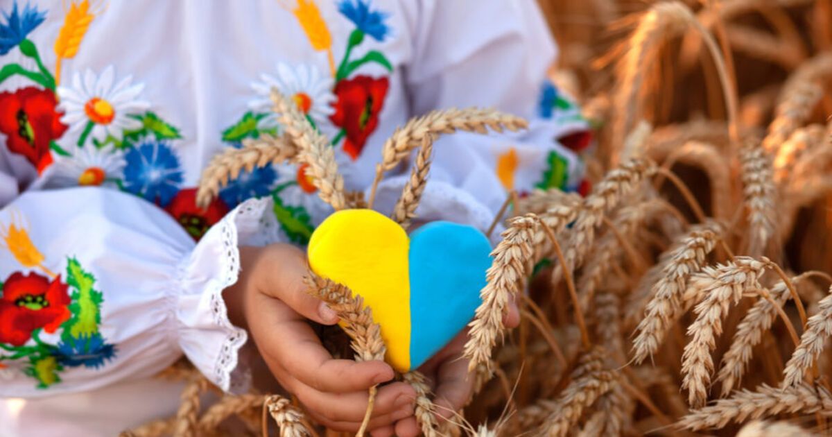 Фото до статті