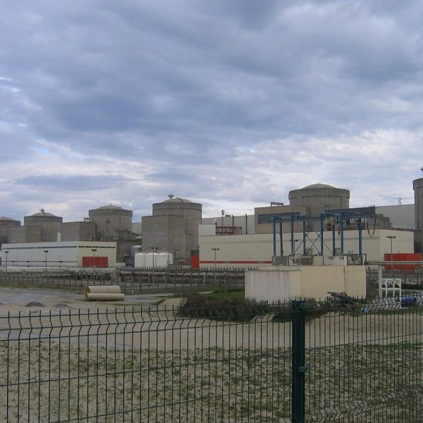 Медузи зупинили роботу однієї з найбільших АЕС Франції