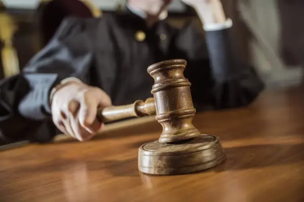 За Віктора Дубовика внесли 7 мільйонів гривень застави у справах “Форест Гамп” та “Феміда”