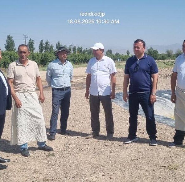 Узбекистан і Таджикистан посилюють наукову співпрацю у вирощуванні бавовнику
