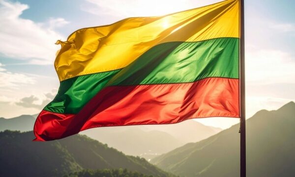 Литва припускає, що збитий дрон у Латвії міг бути операцією «під чужим прапором»
