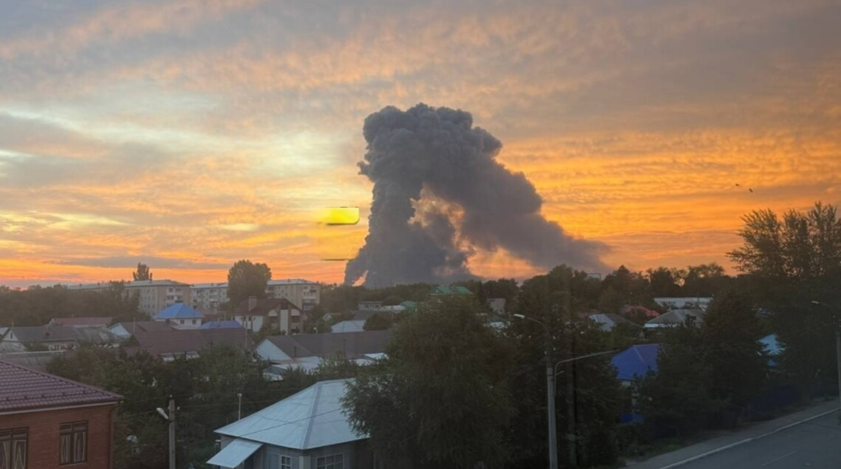 Фото до статті