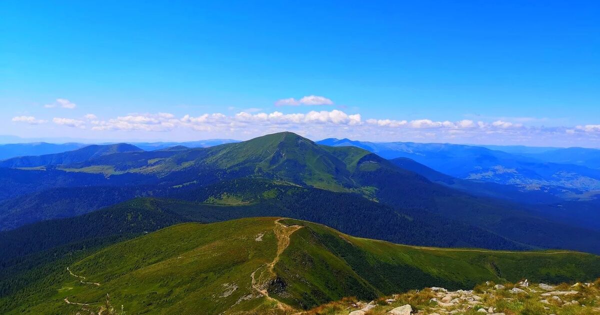Фото до статті