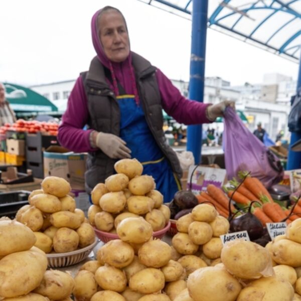 Зима принесе зростання цін на картоплю до 40%: як зекономити восени