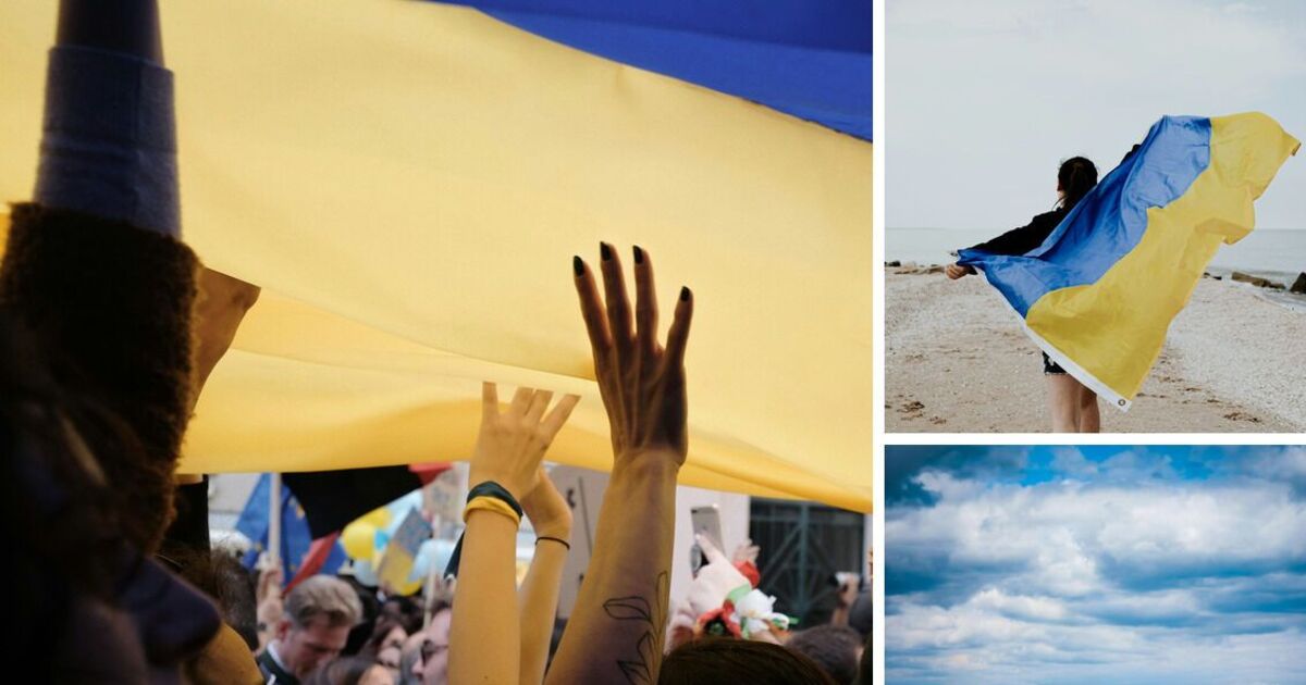 Фото до статті