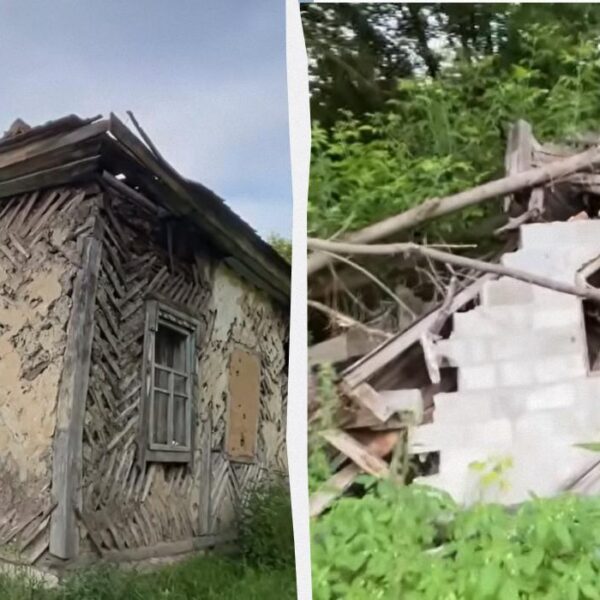 Ліс поглинув українське село-привид, люди майже зникли