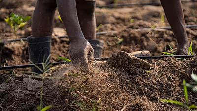 From Research to the Field: Transforming Africa’s Seed Systems