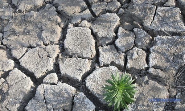Велика Британія спрямує понад 76 мільйонів євро на боротьбу з наслідками посухи