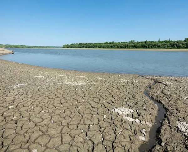 Дністровське водосховище: рівень води впав до 20% норми