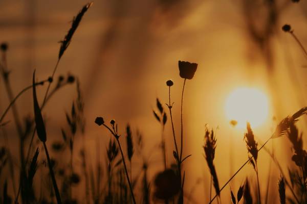 В Україні 12 серпня прогнозують до +33°C та грози