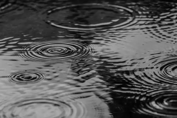Рівень води в Дністровському водосховищі впав до рекордно низької позначки