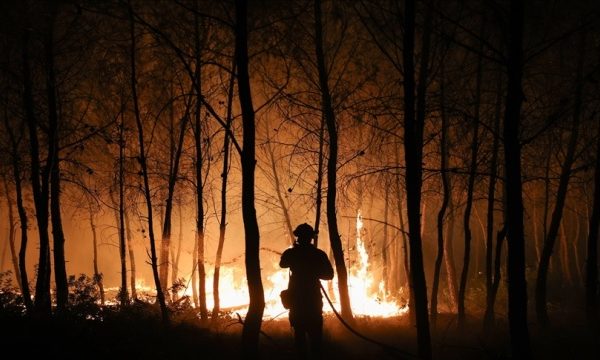 Українські рятувальники допомагали гасити лісові пожежі у Франції