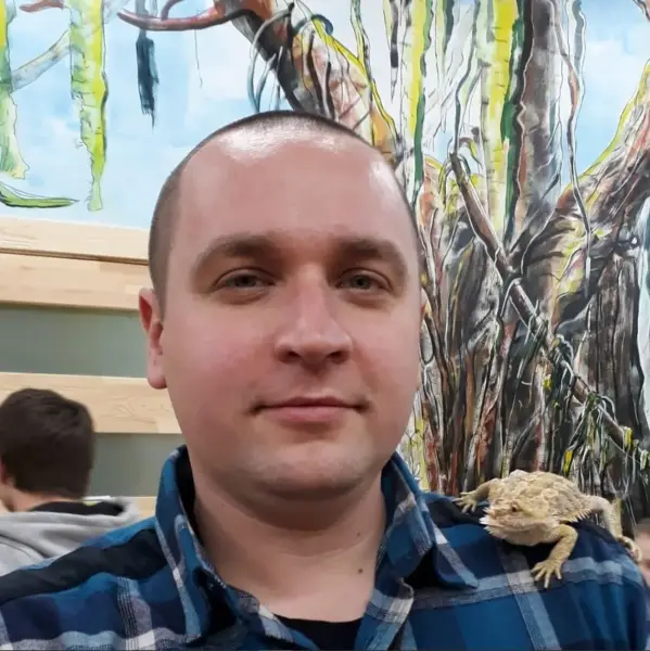 У Threads спалахнув скандал через погрози розправою над вуличними тваринами