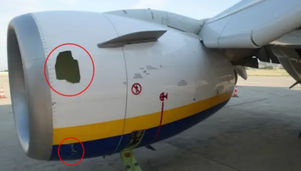 Розкрито причину виривання пасажира з вікна літака Ryanair