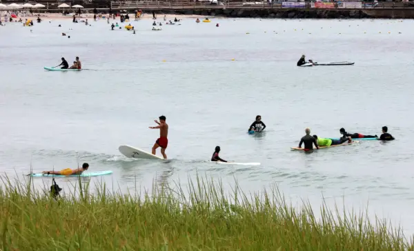 epa13175292 Surfers ride waves off a beach in Seogwipo, Jeju Island, South Korea, 17 August 2026. EPA/YONHAP SOUTH KOREA OUT