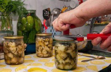 Консервація, скріншот