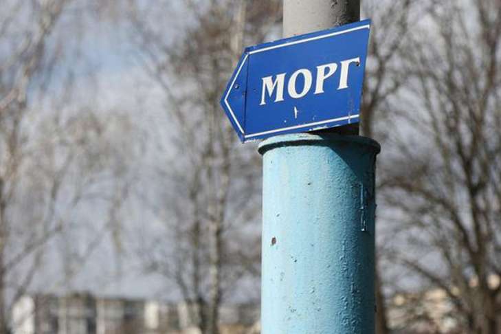Фото до статті