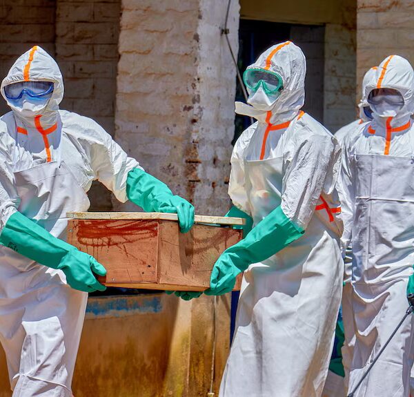 Ебола прямує до найгіршого спалаху в історії: аналіз графіків