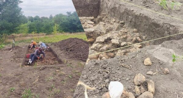 Археологи виявили трипільське житло на городі на Тернопільщині