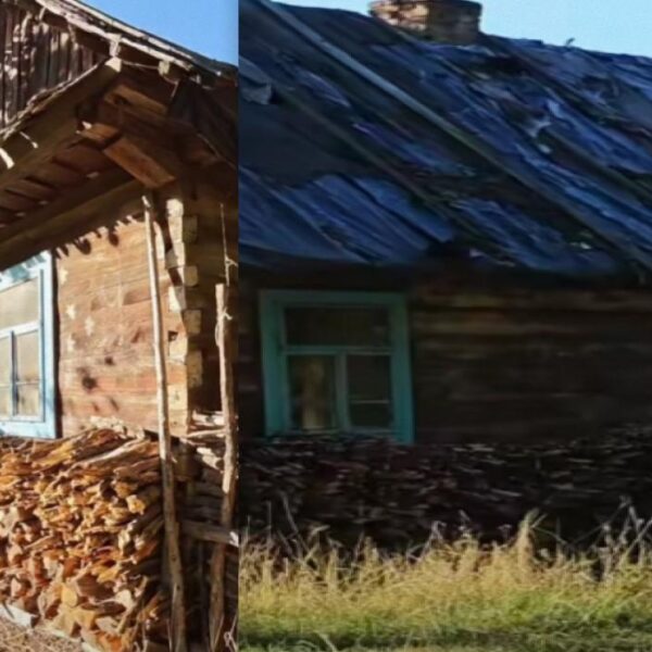 Українка з села, де є лише одна хата, розповіла про своє життя