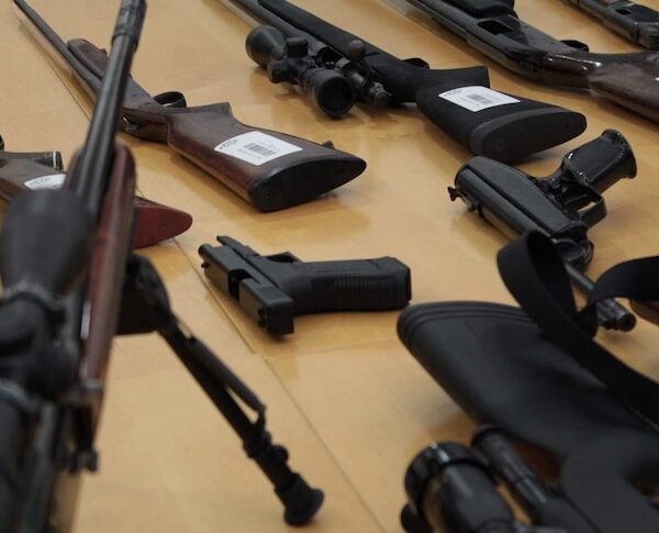 Ліберали Нового Південного Уельсу обіцяють скасувати програму викупу зброї перед виборами