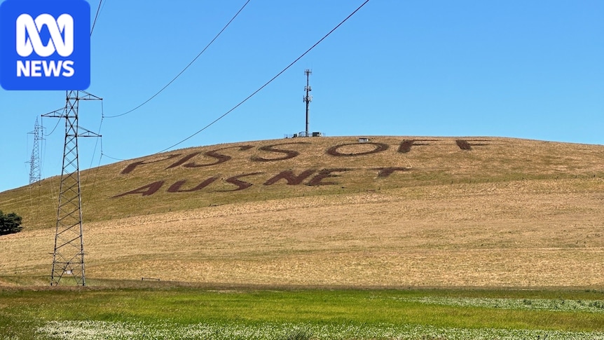 Фото до статті