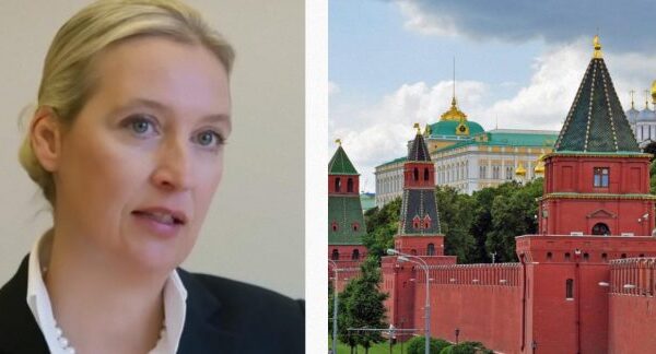 АдН розглядає Росію як друга Німеччини через політичні та економічні переконання