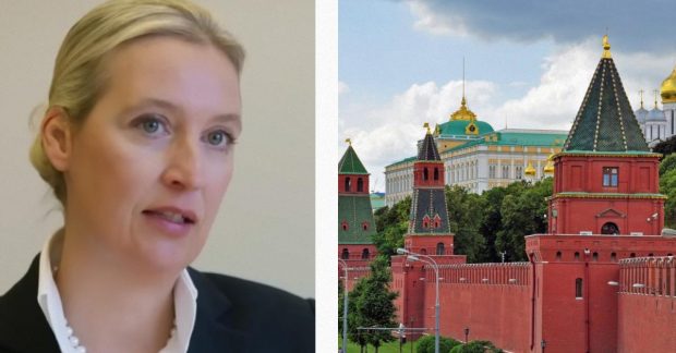 Фото до статті