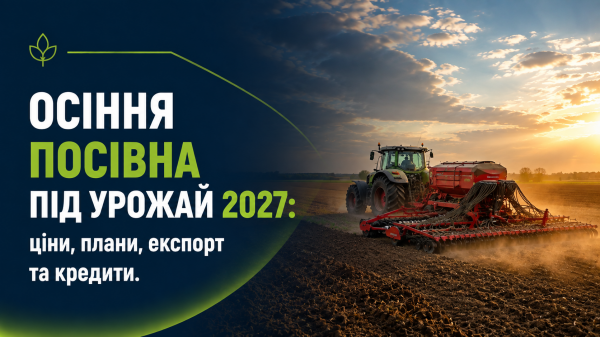 Румунія зібрала рекордний урожай пшениці та ріпаку завдяки пізній сівбі