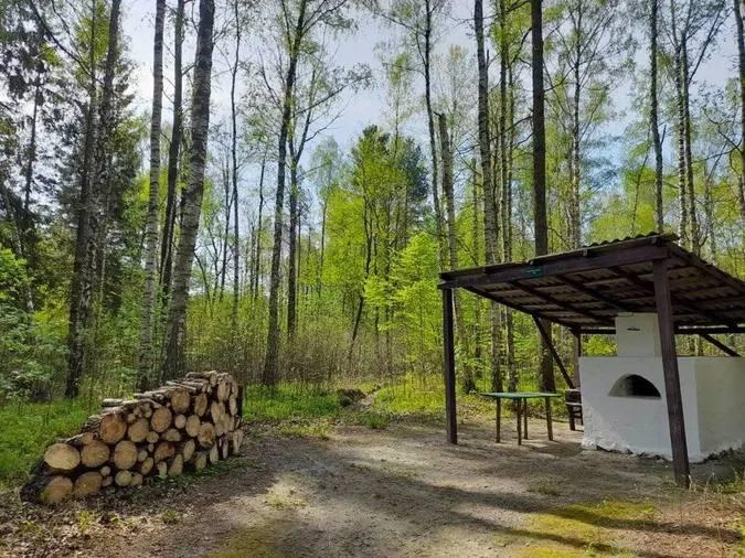 У лісі на Волині стоять піч та землянки з моторошною історією: що відомо про місце (фото)