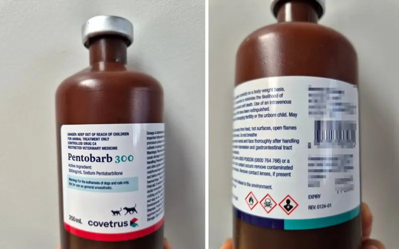 Ліки, відомі як пентобарбітал, можуть мати летальний ефект при ковтанні.