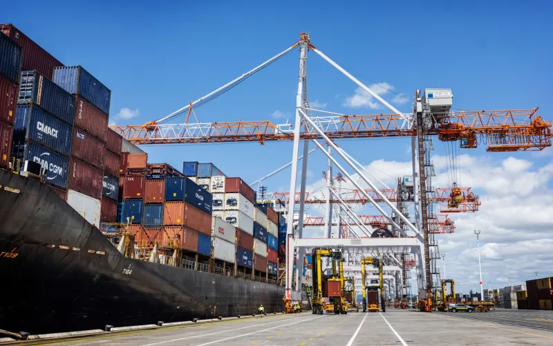 Port of Tauranga