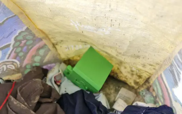 Сумка сина Брендана значно покрилася пліснявою після двох тижнів перебування на підлозі.