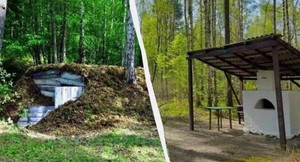 На Волині виявили лісову піч та землянки часів Другої світової війни
