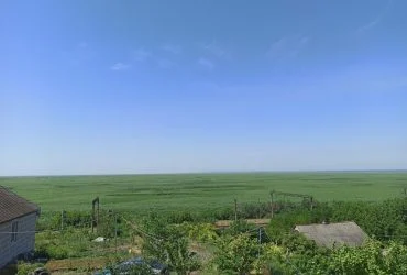 На місці Каховського моря формується гігантський заповідник, – науковець