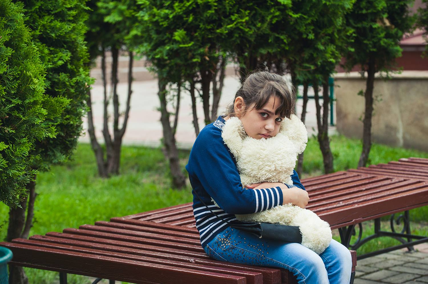 Фото до статті