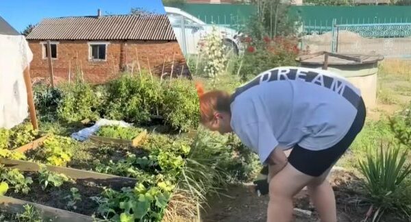 Жінка купила селову хату за $19 тисяч: її покупка викликала критику