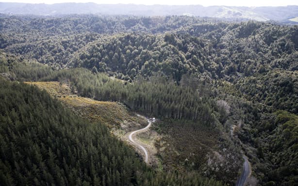 WAITOMO, NEW ZEALAND - SEPTEMBER 11: Police at the location of one of the campsites just off the Te Anga Road near Waitomo where Tom Phillips and his children had been hiding for the last four years. Tom Phillips was killed after getting into an armed shootout with Police. 11 September 2025. (Photo by Dean Purcell/New Zealand Herald via Getty Images)